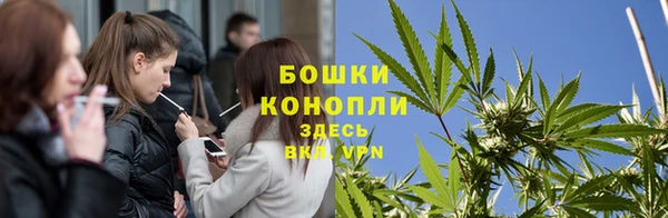 бошки Алзамай