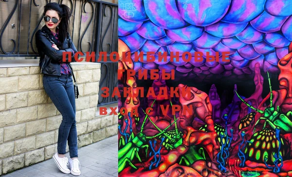 гидропоника Алексеевка