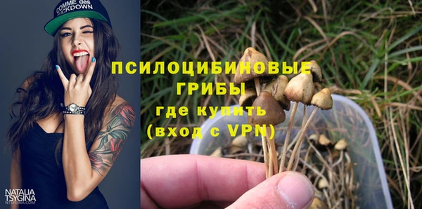 бошки Алзамай