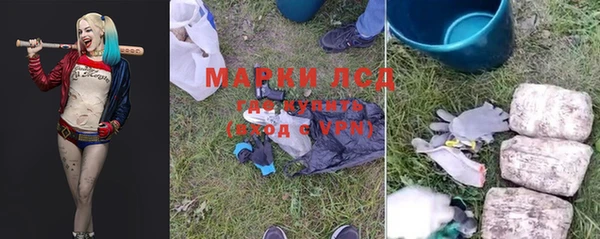 ГАЛЛЮЦИНОГЕННЫЕ ГРИБЫ Снежинск
