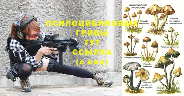 гидропоника Алексеевка